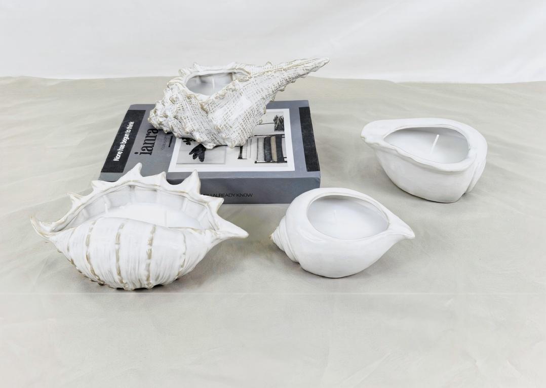 Küünlaomanikud on mitmel kujul. Kas olete kunagi näinud ühte merekarpi kujuga?